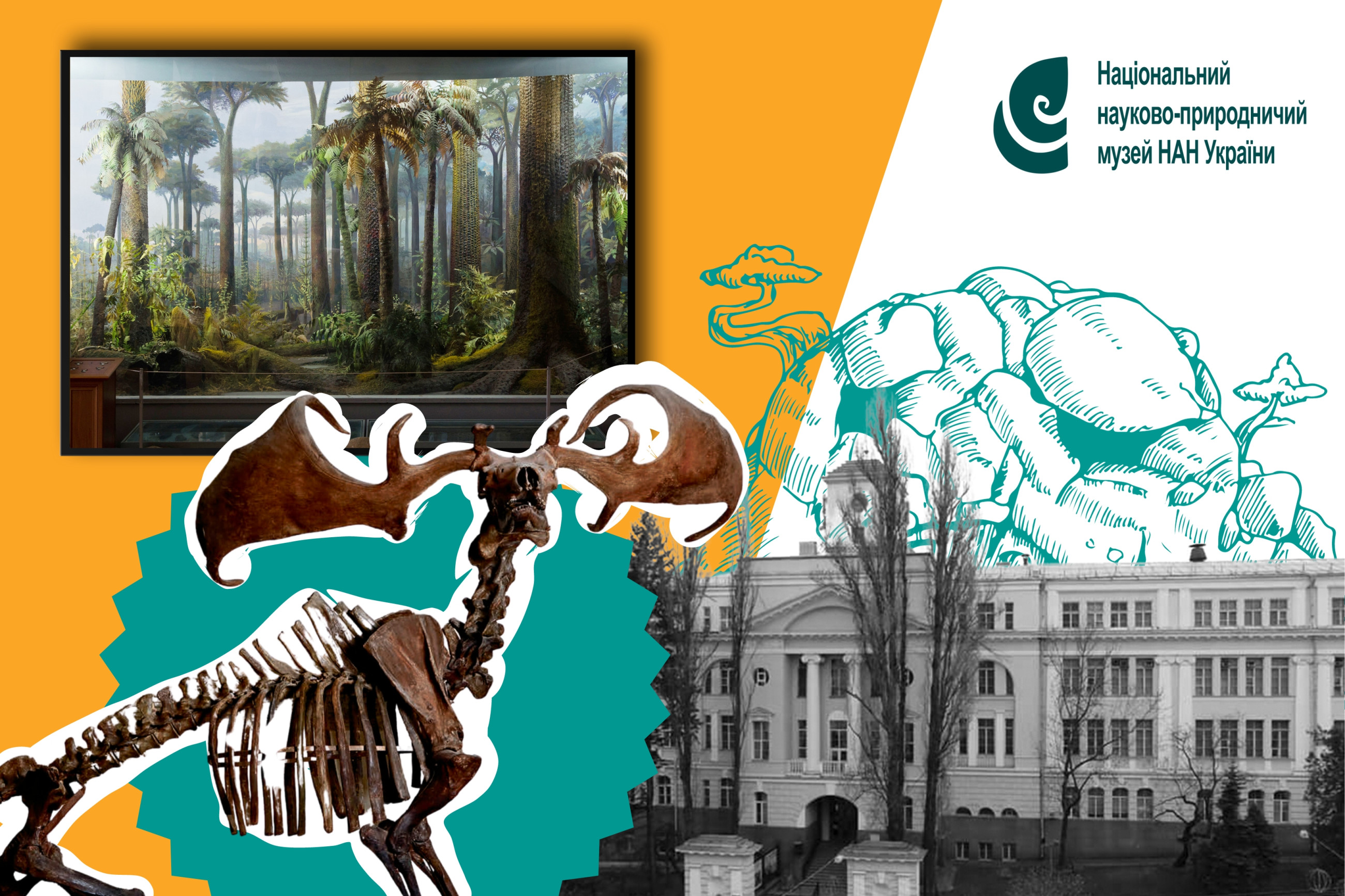СторіЯ запрошує на прогулянку Природничим музеєм у Києві image