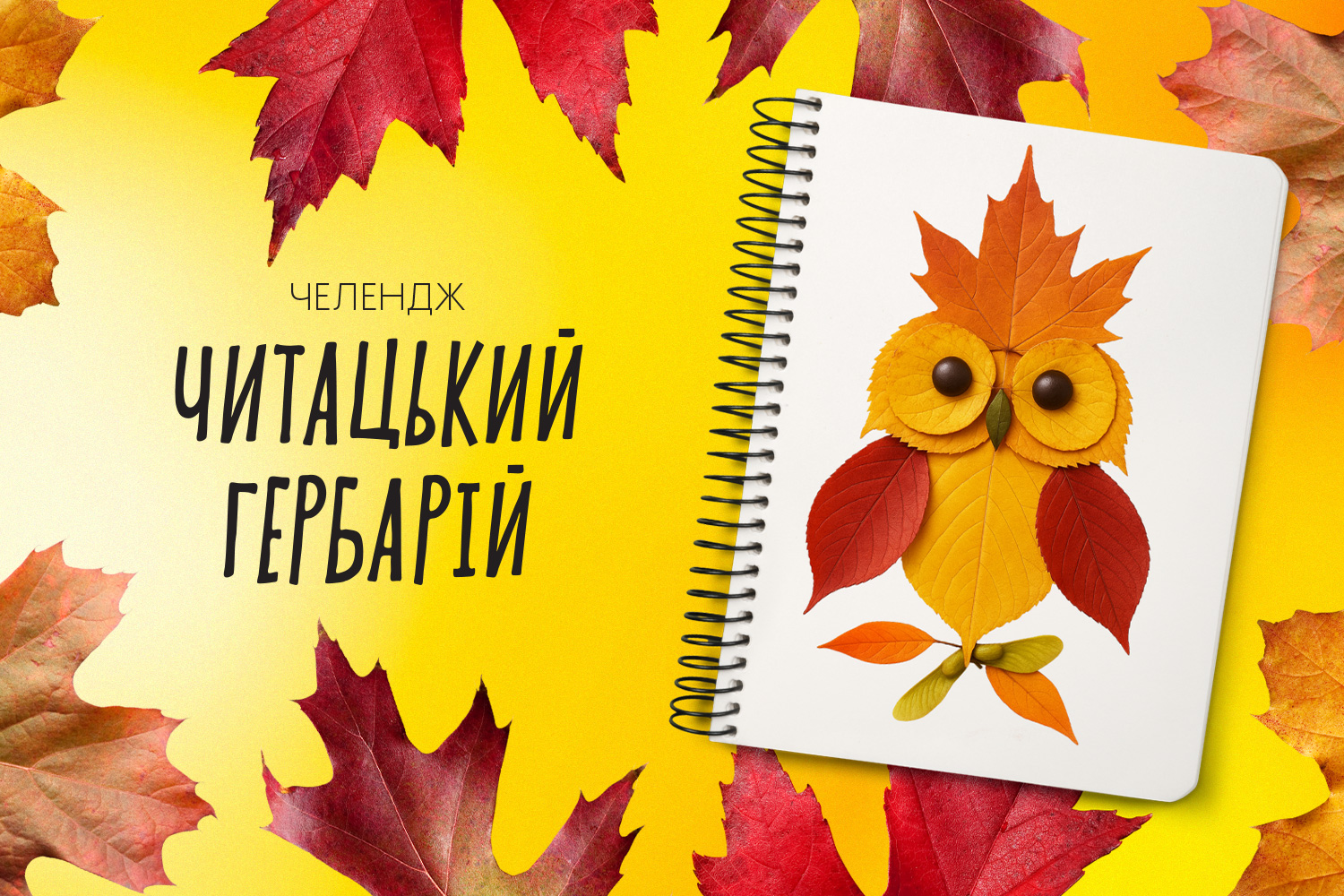 Челендж "Читацький  гербарій" image
